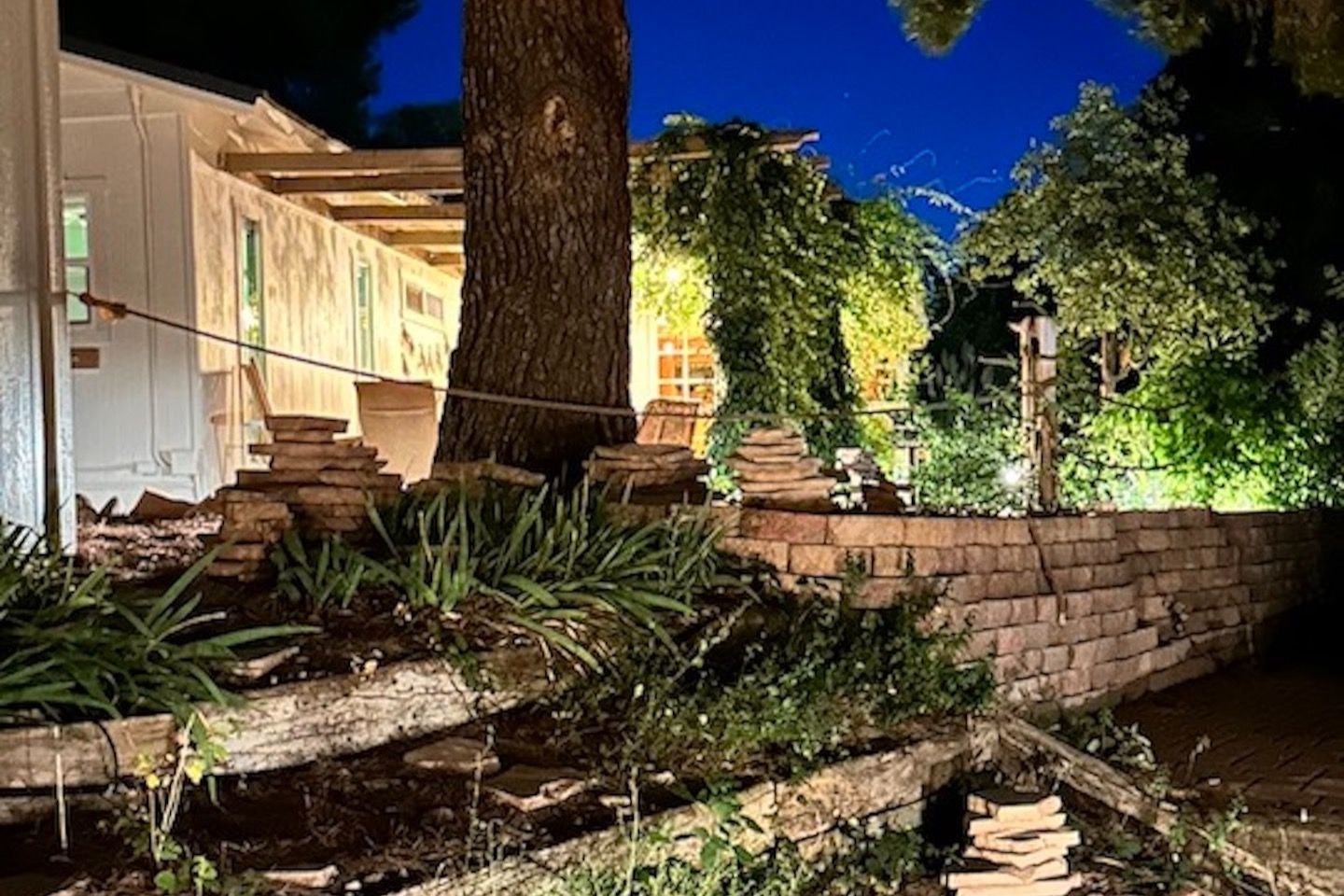 Un'area esterna curata con aiuole, un muro in mattoni, un albero e un edificio con una scala.
