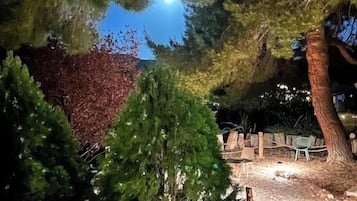 A nighttime outdoor area with trees, a stone bench, and a small fire.