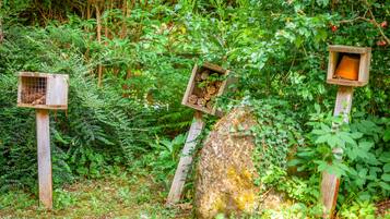 Áreas de la propiedad