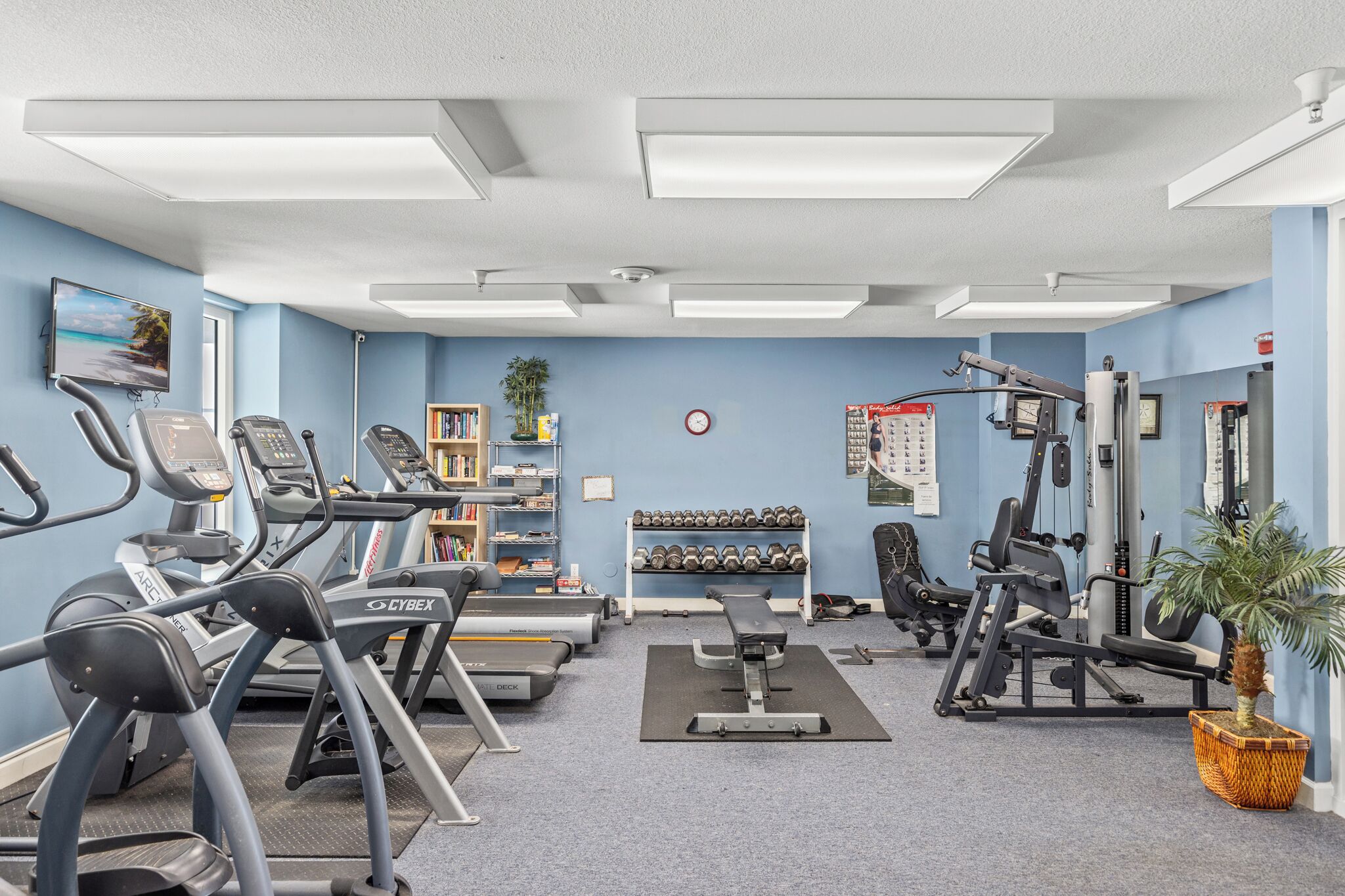 A gym with treadmills, dumbbells, and weight machines.