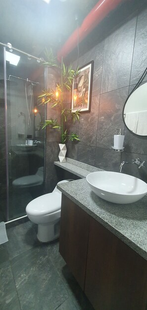 Douche, sĂšche-cheveux, serviettes fournies, savon