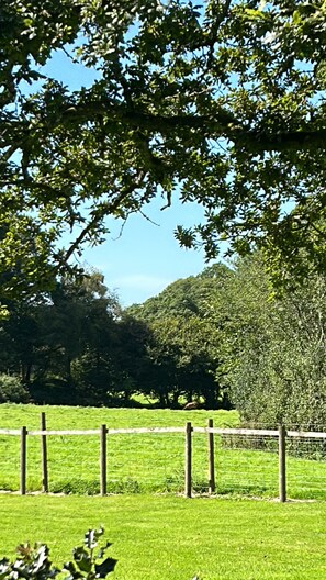 Casa de campo | Golfe