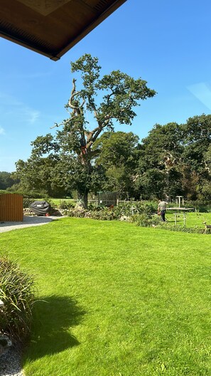 Casa de campo | Área da propriedade