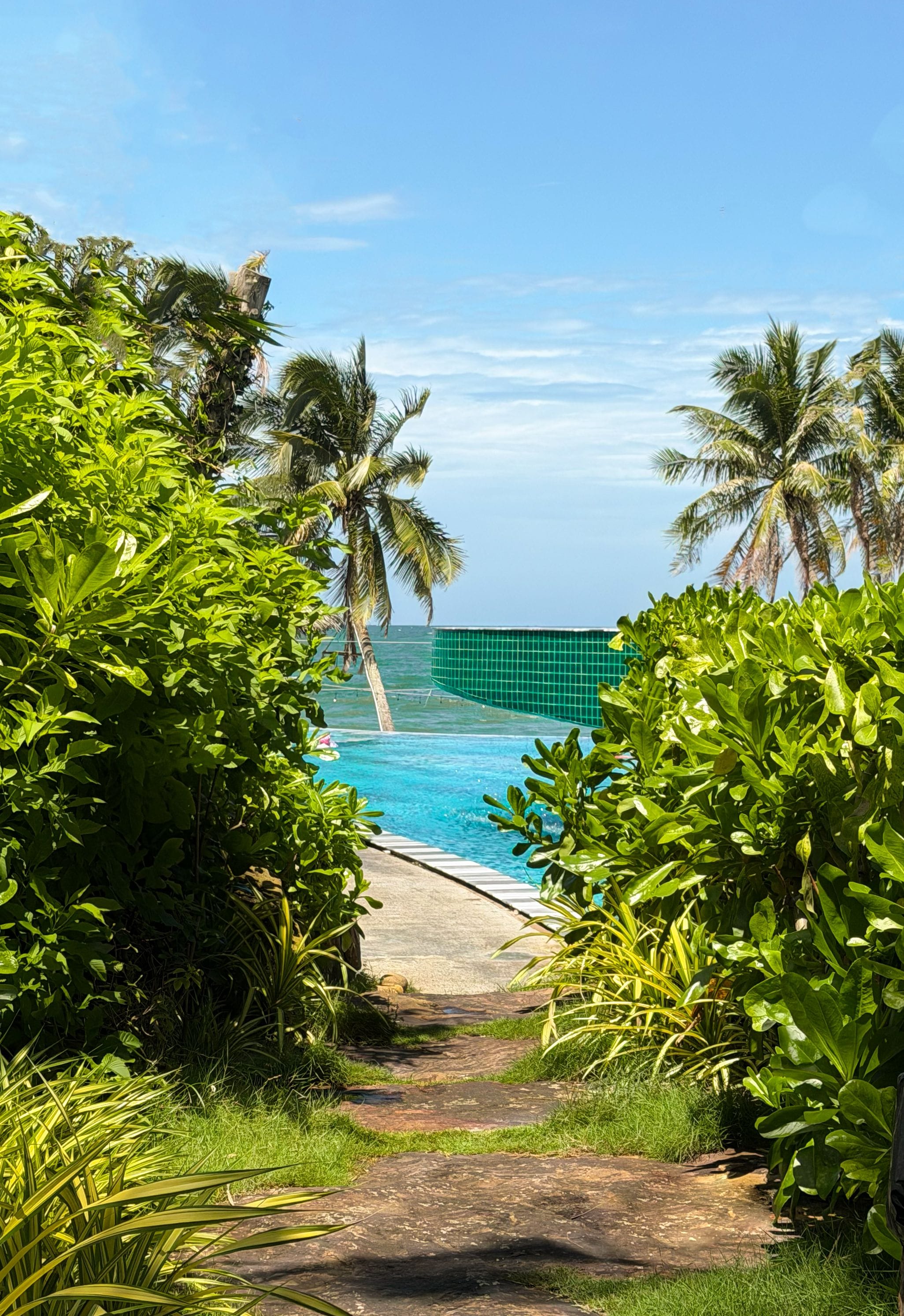 Un sendero lleva a una piscina con vistas al océano y palmeras.