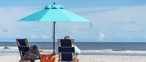 A beach scene with two beach chairs under a blue umbrella, a dog, and a person sitting in one of the chairs.