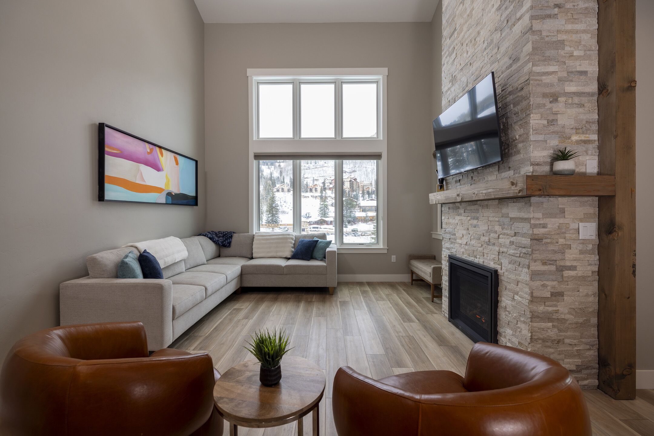 Televisión, chimenea, libros