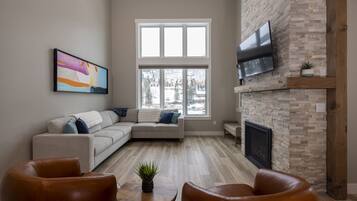 Televisión, chimenea, libros