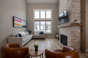 テレビ、暖炉、書庫