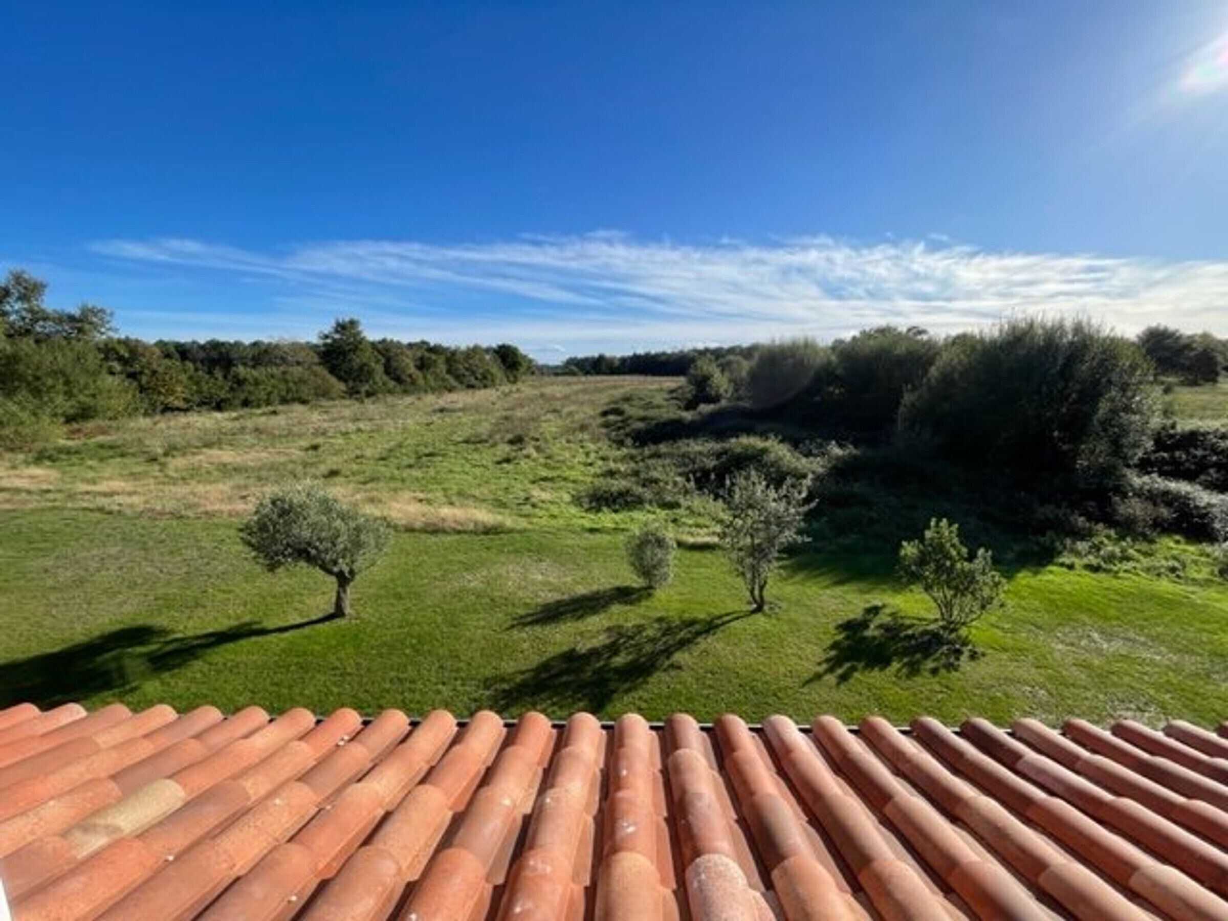 Ein mit Terrakotta-Ziegeln gedecktes Dach mit Blick auf ein grasbewachsenes Feld und vereinzelten Bäumen.