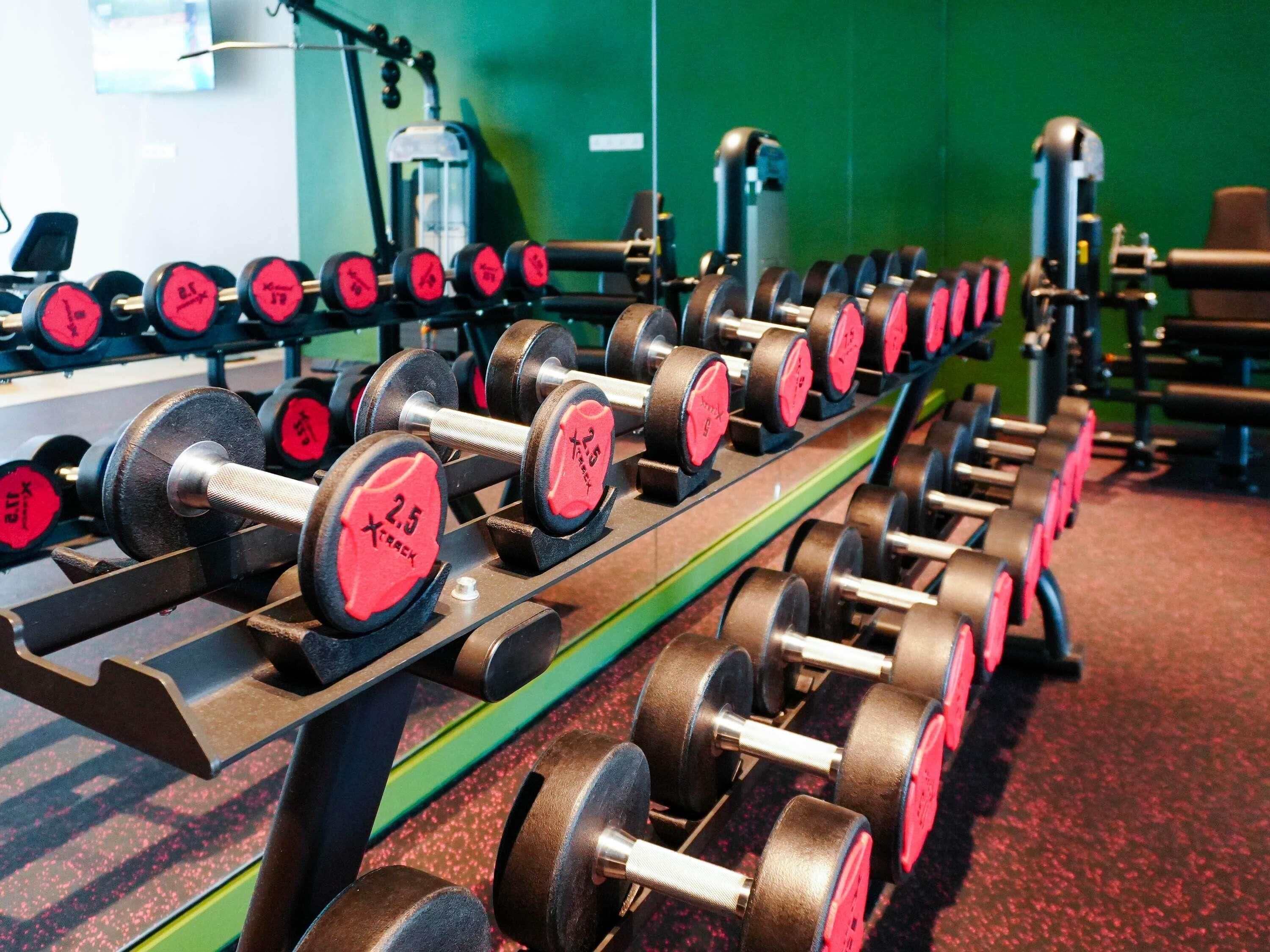 A row of dumbbells with red weight plates on a rack in a gym.