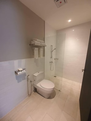 Shower, free toiletries, hair dryer, slippers