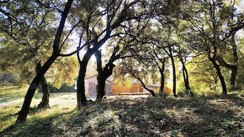 Vista desde la habitación