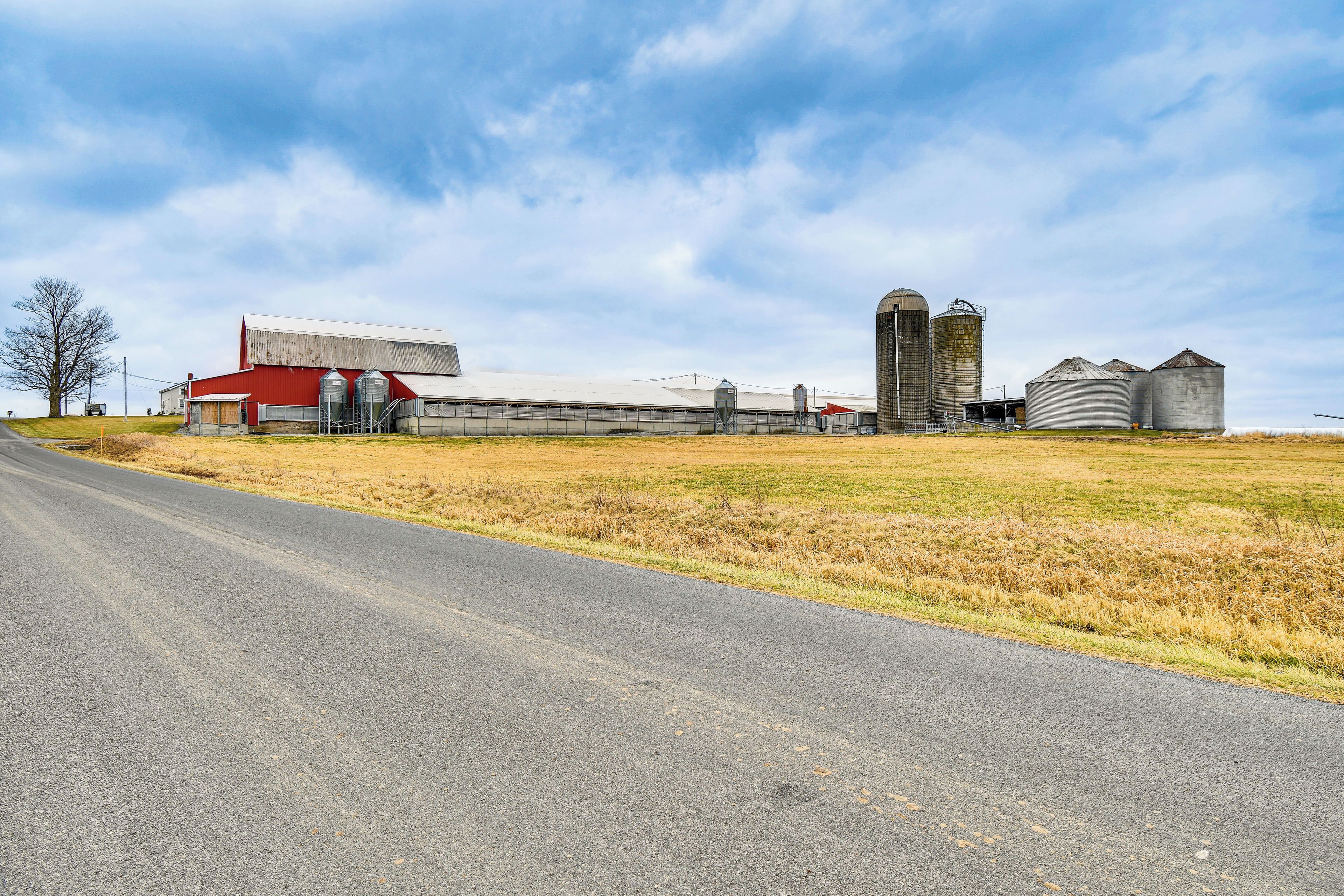 A rural road leading to a farm with a red barn, silos, and a grain field.