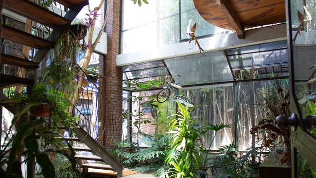 A wooden staircase leading to a covered area with potted plants and a glass enclosure. - Martinlandia  (Puebla)