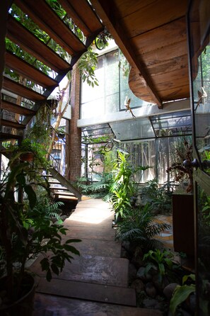 A wooden staircase leading to a covered area with potted plants and a glass enclosure. - Martinlandia  (Puebla)