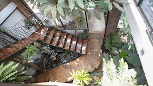A multi-level indoor garden with various plants, a wooden staircase, and a metal railing. - Martinlandia  (Puebla)