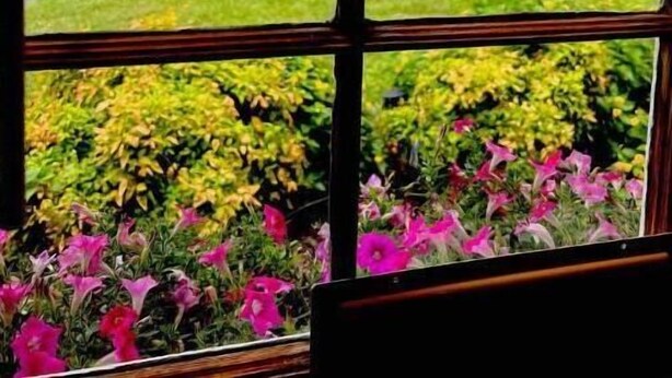 A view through a window with a garden in the foreground and a parking area with a white vehicle in the background. - Sunny at 135 is a wonderful place to  (Aiken)