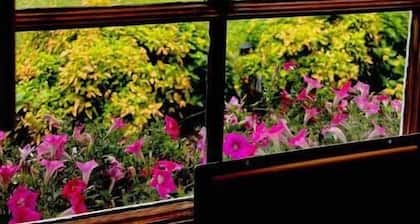 Sunny at 135 is a wonderful place to