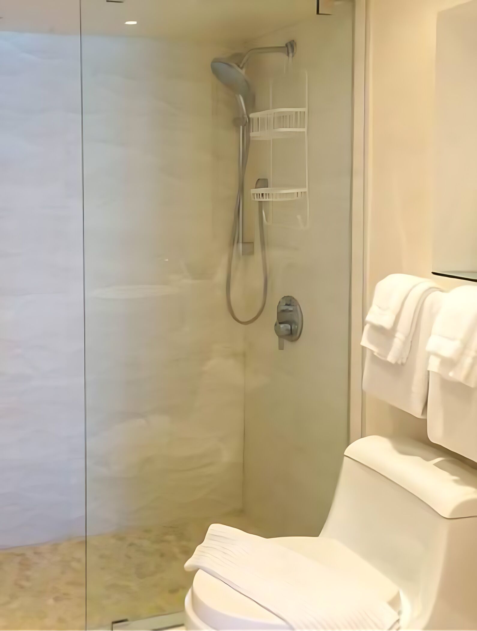 A modern bathroom with a glass-enclosed shower, a toilet, and a towel rack.