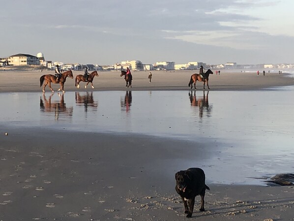 On the beach