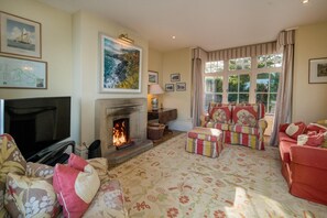 Smart TV, fireplace, books