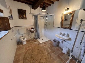 A bathroom with a shower, toilet, sink, and a decorative rug.