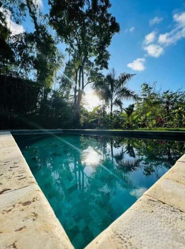 Surrounded by lush greenery, this pool offers a serene escape.