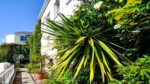 A white building with a garden featuring a large palm tree and various plants. - The Quay House, Clifden’s oldest building (Clifden)