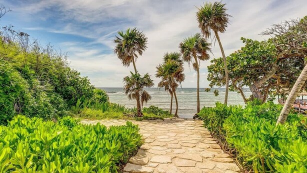 A stone pathway leading to a beach with palm trees and lush greenery. - Ground-Floor Condo, Beach Club & 5 Rooftop Pools (Akumal)