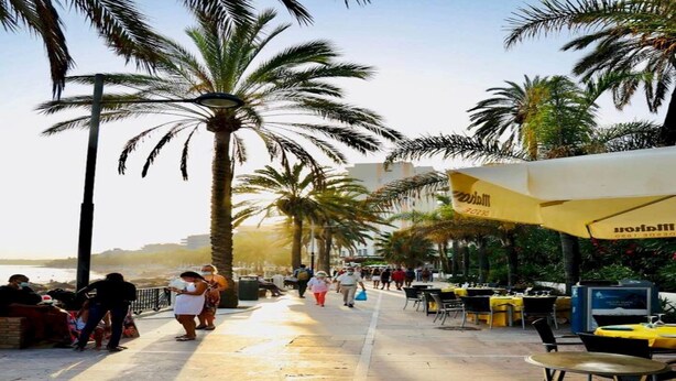Un paseo marítimo con palmeras, mesas al aire libre y vista al mar.