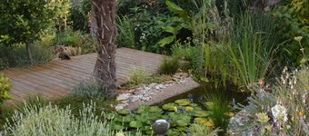 Historisches Kelterhaus im Kellerweg Guntersblum - Direkt am Lutherweg