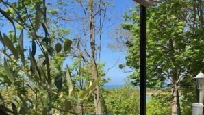 A wooden hot tub with a blue cover, surrounded by lush greenery and a clear blue sky.