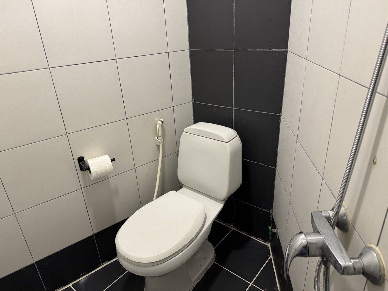 A small, modern bathroom with a toilet, a toilet paper holder, and a shower.