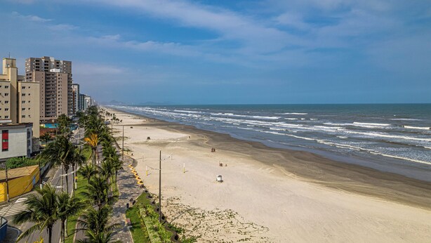 A beach with a road lined with palm trees and buildings.