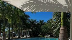 Een zwembad met palmbomen, een overdekt terras en een helderblauwe lucht.