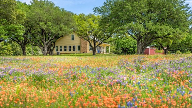 Una casa rodeada por un campo de flores de colores.