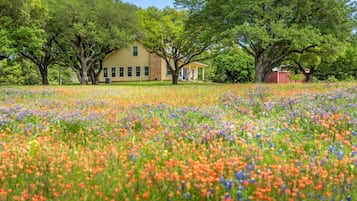 Áreas de la propiedad