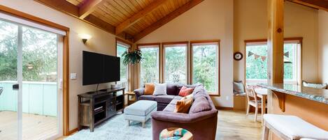 Una televisión, una chimenea, libros