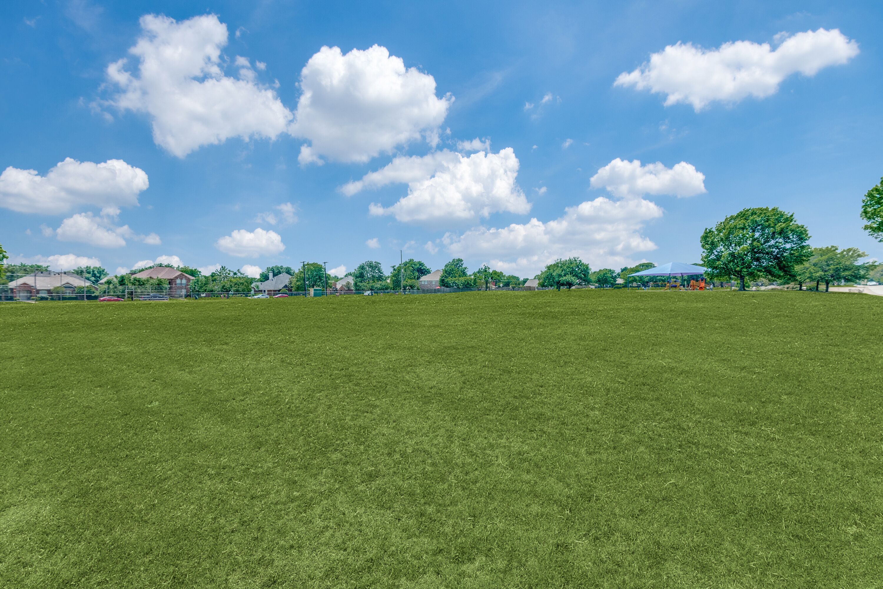 Een groot, open veld met hoog gras, een helderblauwe lucht en verspreide wolken.