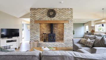 TV connectée, cheminée, lecteur de DVD, chaßne hi-fi