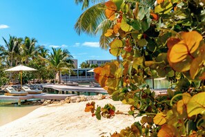 Un complexe hôtelier en bord de mer, doté d’une piscine, de chaises longues et d’un palmier.