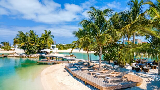 A beach resort with a wooden deck, lounge chairs, and palm trees.