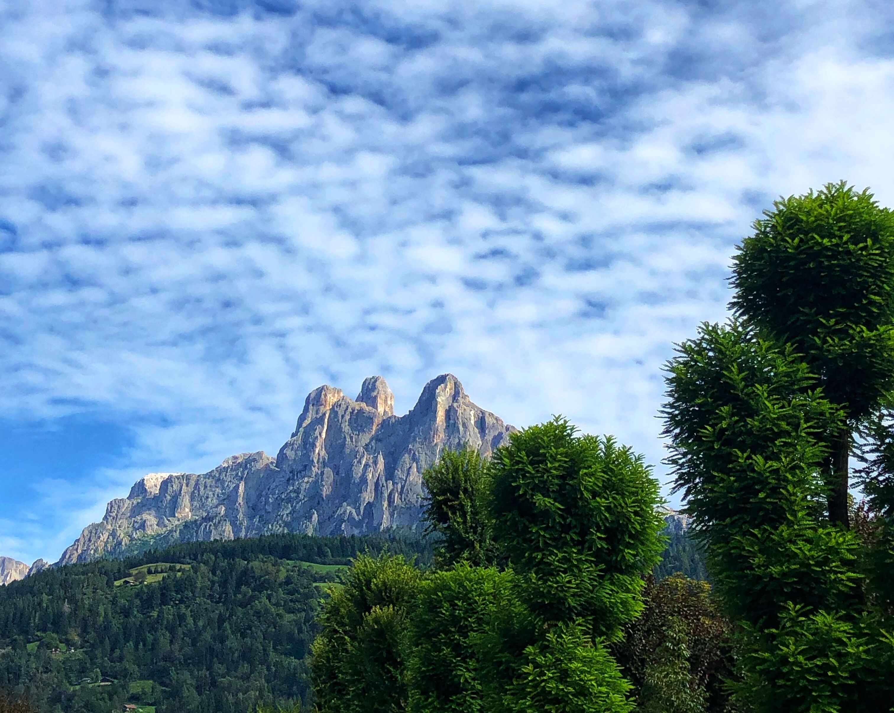 A mountain landscape with rocky peaks and dense green forest.