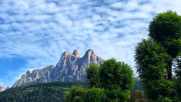 A mountain landscape with rocky peaks and dense green forest.