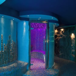 Couples treatment room(s), sauna, hot tub, steam room