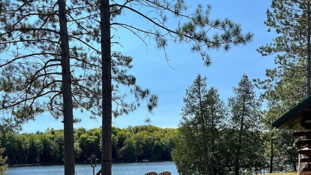 Una cabaña junto al lago con una hamaca, un banco de madera y vistas al lago y al bosque.