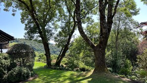 A lush garden with mature trees and a well-maintained lawn. - domaine du deven (Bourg-en-Lavaux)