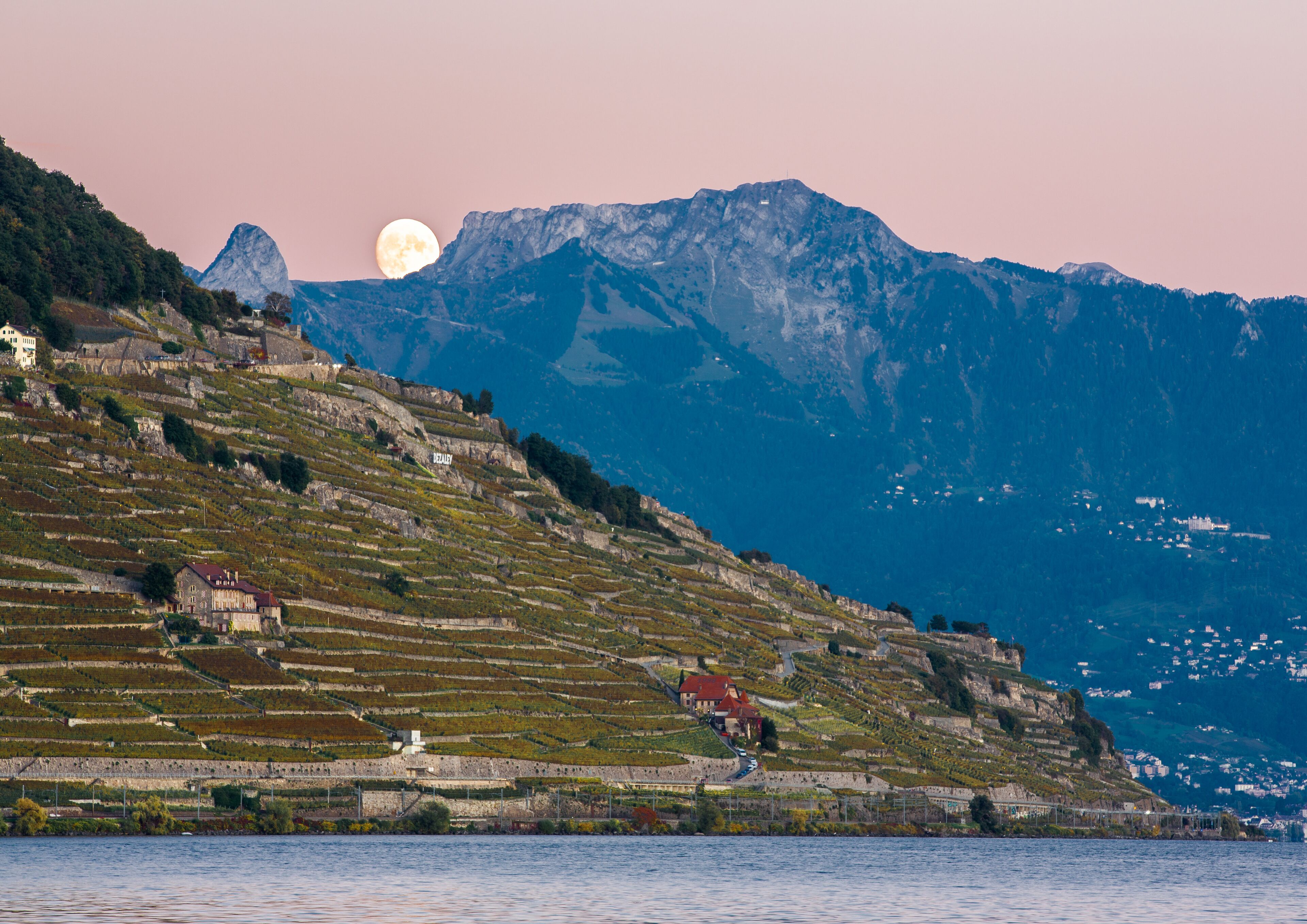 Un vignoble avec des terrasses, une petite maison et des montagnes en arrière-plan.