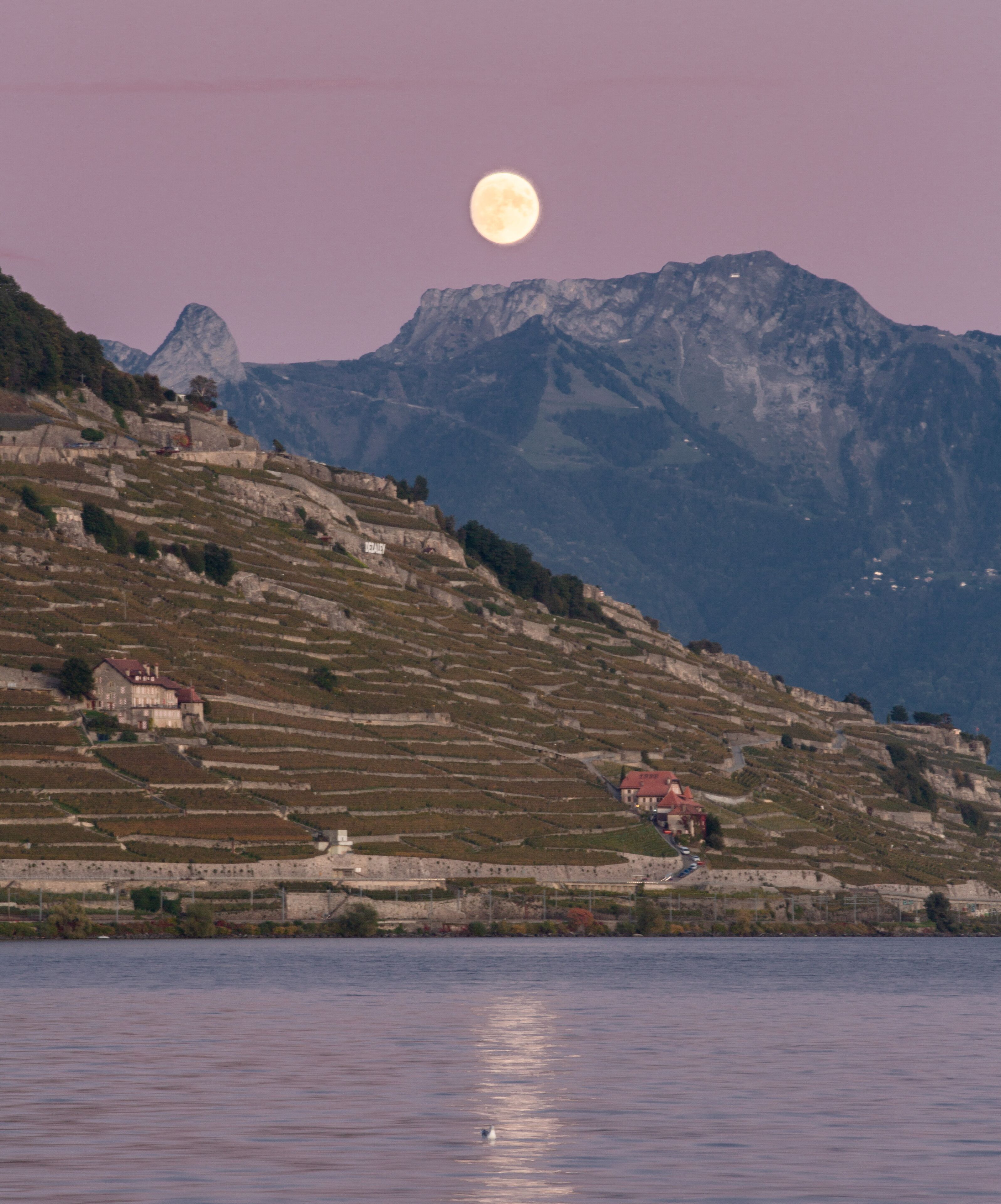 A mountainous landscape with terraced fields and a few buildings, including a red-roofed house near a body of water.