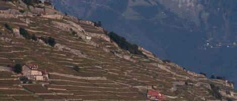 A mountainous landscape with terraced fields and a few buildings, including a red-roofed house near a body of water.